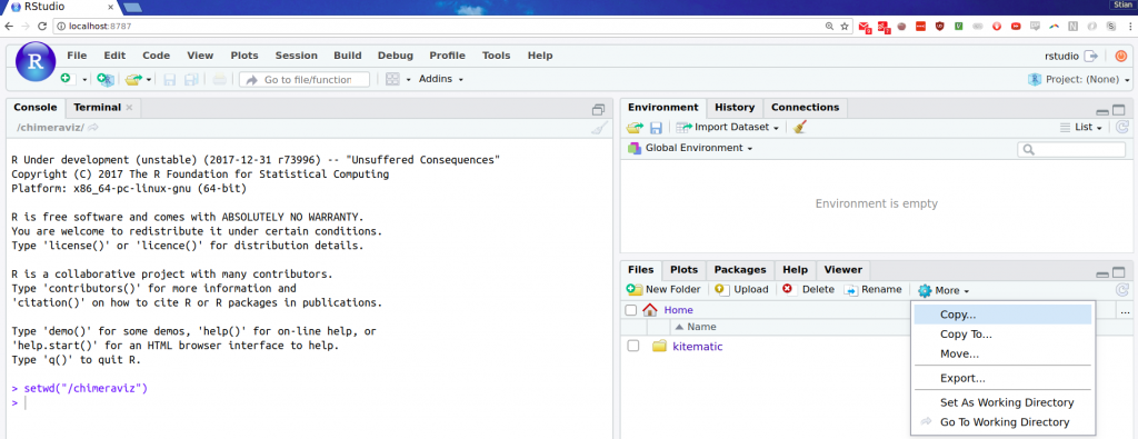 Screenshot of RStudio in the browser showing how to set the working directory