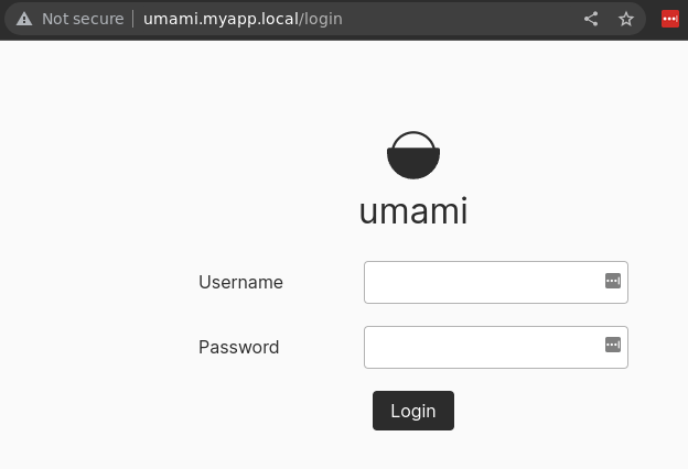 Screenshot of the Umami login page